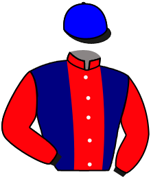 Casaque du n°3 — DESVIO