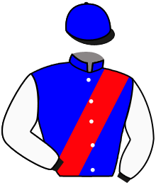 Casaque du n°1 — BLUEGRASS PRINCESS
