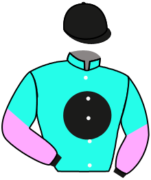 Casaque du n°2 — MISCHIEF LADY