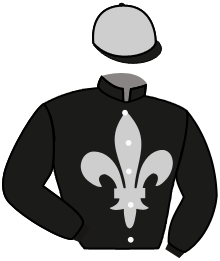 Casaque du n°3 — GRIDLOCK