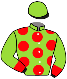 Casaque du n°13 — BRIGHTLINE BULLET