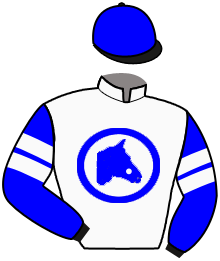 Casaque du n°2 — BOSUN