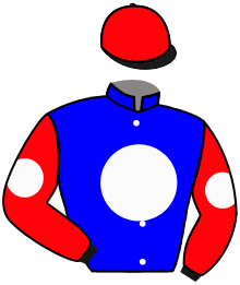 Casaque du n°7 — JUDGE BOUSHAY