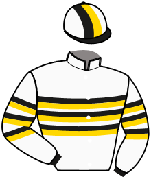 Casaque du n°3 — PEJI OCCAGNES