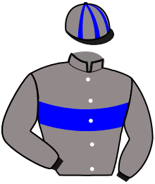 Casaque du n°6 — HOLAF D'OURVILLE