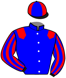 Casaque du n°5 — NOBLE PETTEVINIERE