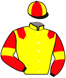 Casaque du n°2 — MOUVANCE DANICA