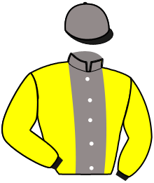 Casaque du n°1 — MURANO DE PIPAN