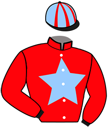 Casaque du n°7 — LADY DE SAFRAN