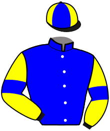 Casaque du n°5 — NABRICO DE HOUELLE