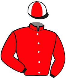 Casaque du n°15 — KHARA DRY
