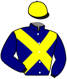 Casaque du n°8 — KRICK DU GUESCLIN