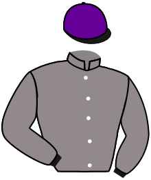 Casaque du n°4 — OISEAU BLEU