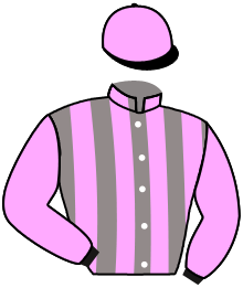 Casaque du n°11 — ELEGANTE WOMAN