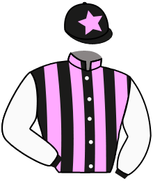 Casaque du n°6 — VIZIOSA