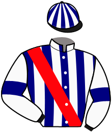 Casaque du n°9 — MARBELLESA