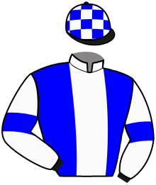 Casaque du n°12 — CARLSTON