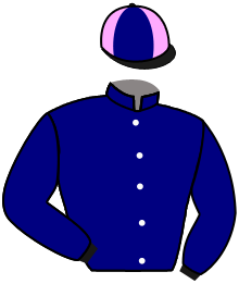 Casaque du n°4 — KAPETANIOS