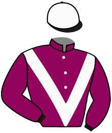 Casaque du n°5 — SEIGNEUR