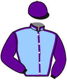 Casaque du n°14 — ECLAIR DE VATI