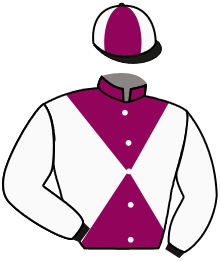 Casaque du n°12 — PRINCESS ZALTANA