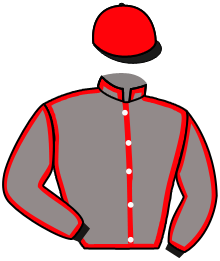 Casaque du n°14 — ZANINA