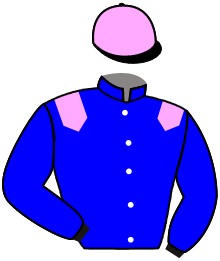 Casaque du n°1 — PIERRE LE GRAND