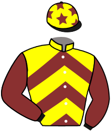 Casaque du n°10 — DAHARIZ