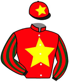 Casaque du n°11 — ESTELLA MOBRAY