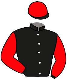 Casaque du n°4 — DR DANIEL