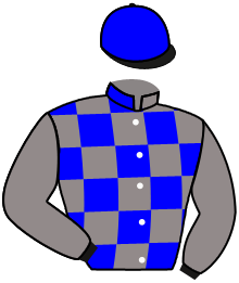 Casaque du n°5 — ST JOE FURY