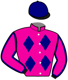 Casaque du n°3 — R FIREBIRD