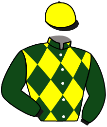 Casaque du n°4 — VIKING SUN