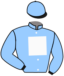 Casaque du n°3 — DISATTACHED