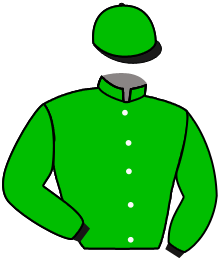 Casaque du n°3 — CULTURE
