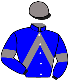 Casaque du n°8 — LOUSTIC LA BORIE
