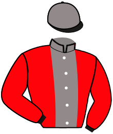 Casaque du n°1 — KEDERMANN