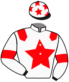 Casaque du n°10 — KOLOSSE