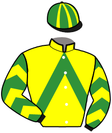 Casaque du n°11 — KEN QUICK