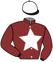 Casaque du n°4 — KING DE JOUDES