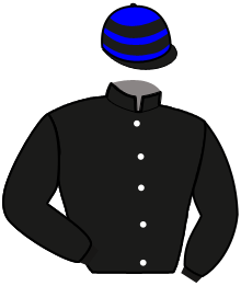 Casaque du n°2 — ILCAPITANO DU PARC