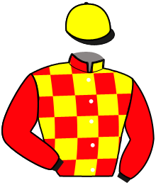 Casaque du n°1 — MEJANES