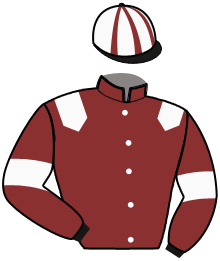 Casaque du n°9 — MANZANA CHENOU
