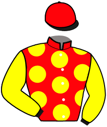 Casaque du n°6 — KINGSTON SPORT