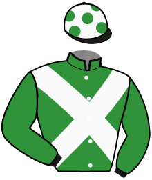Casaque du n°1 — IGOR THEPOL
