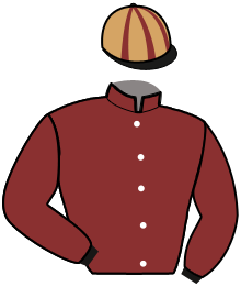 Casaque du n°11 — JUVISY GEMA