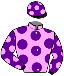 Casaque du n°8 — IF DE QUERAY