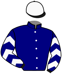 Casaque du n°4 — NOVAK VINGT TROIS