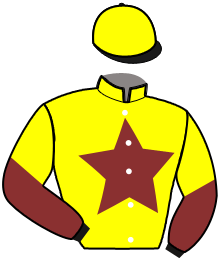 Casaque du n°2 — MELONIA DES TORONS
