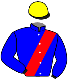 Casaque du n°6 — MARACANA BEACH
